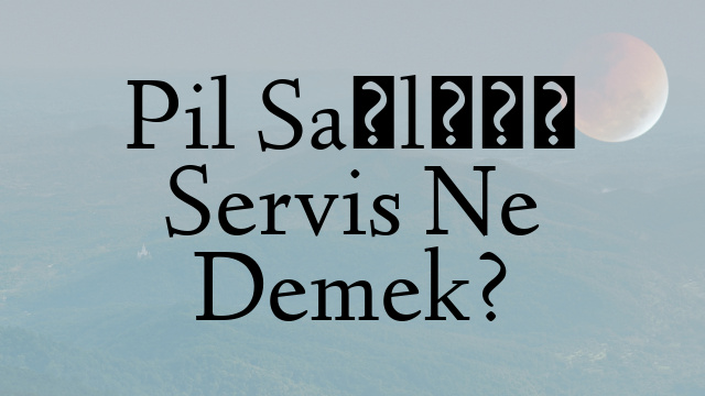 Pil Sağlığı Servis Ne Demek?