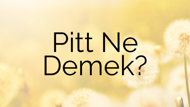 Pitt Ne Demek?