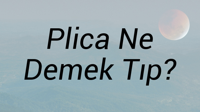 Plica Ne Demek Tıp?