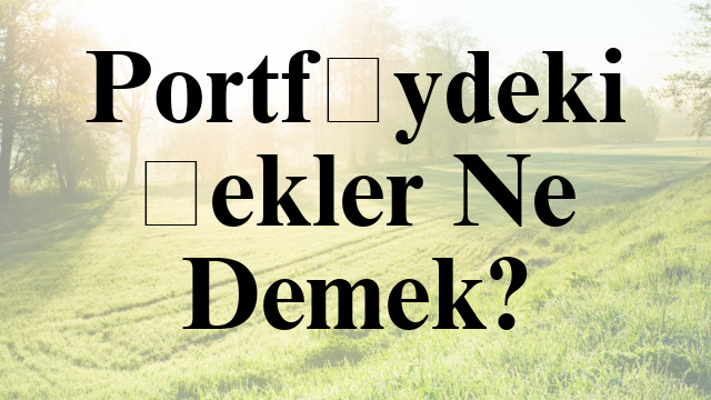 Portföydeki Çekler Ne Demek?