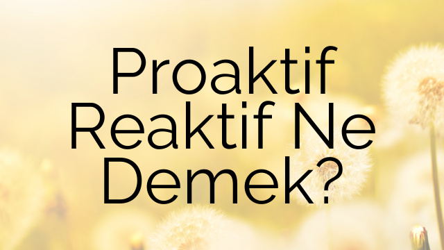 Proaktif Reaktif Ne Demek?