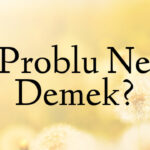 Problu Ne Demek?