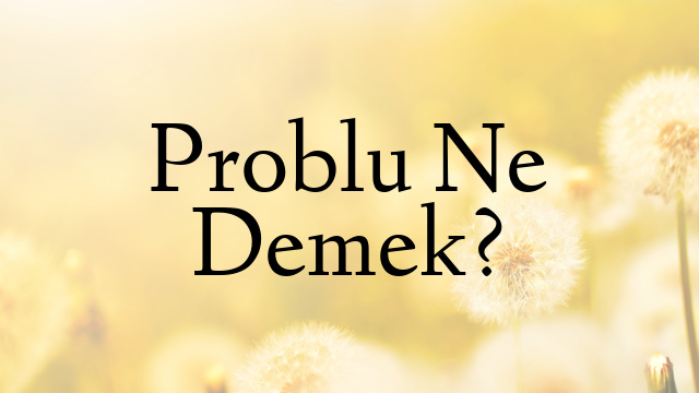 Problu Ne Demek?