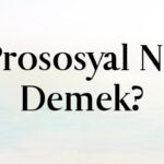 Prososyal Ne Demek?