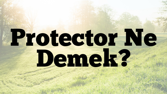 Protector Ne Demek?