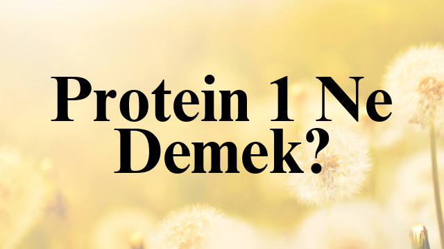 Protein 1 Ne Demek?