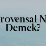 Provensal Ne Demek?