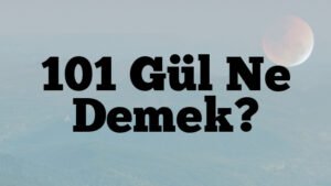 101 Gül Ne Demek?