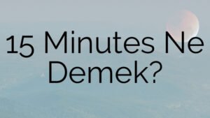 15 Minutes Ne Demek?