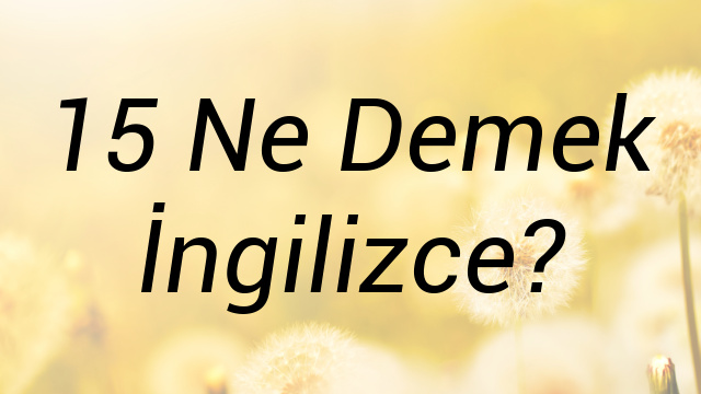 15 Ne Demek İngilizce?