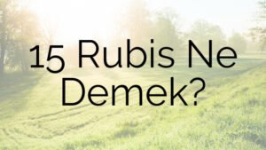 15 Rubis Ne Demek?