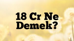 18 Cr Ne Demek?