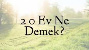 2 0 Ev Ne Demek?