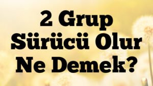 2 Grup Sürücü Olur Ne Demek?