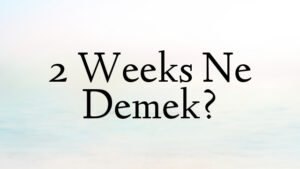2 Weeks Ne Demek?