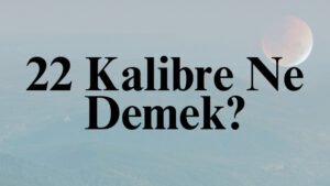 22 Kalibre Ne Demek?