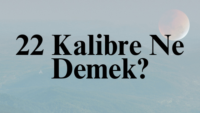 22 Kalibre Ne Demek?