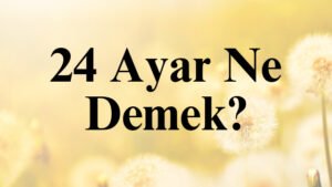 24 Ayar Ne Demek?