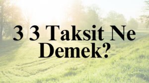3 3 Taksit Ne Demek?