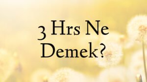 3 Hrs Ne Demek?