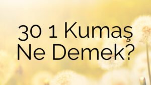 30 1 Kumaş Ne Demek?