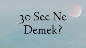 30 Sec Ne Demek?