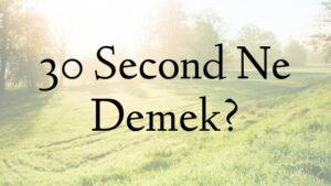30 Second Ne Demek?