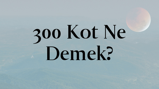 300 Kot Ne Demek?