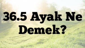 36.5 Ayak Ne Demek?
