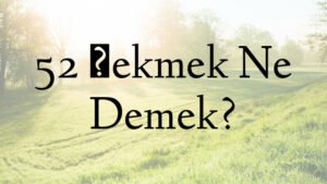 52 Çekmek Ne Demek?