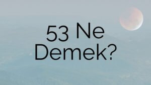 53 Ne Demek?
