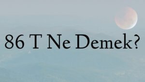 86 T Ne Demek?