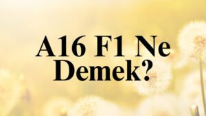 A16 F1 Ne Demek?