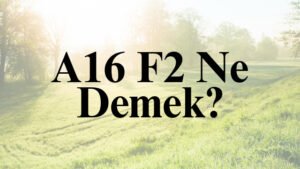 A16 F2 Ne Demek?