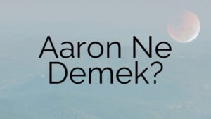 Aaron Ne Demek?