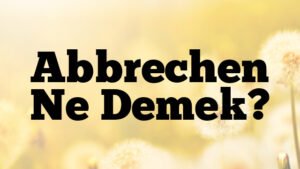Abbrechen Ne Demek?