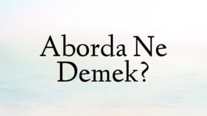 Aborda Ne Demek?