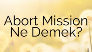 Abort Mission Ne Demek?