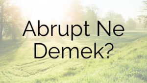 Abrupt Ne Demek?