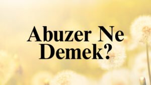 Abuzer Ne Demek?
