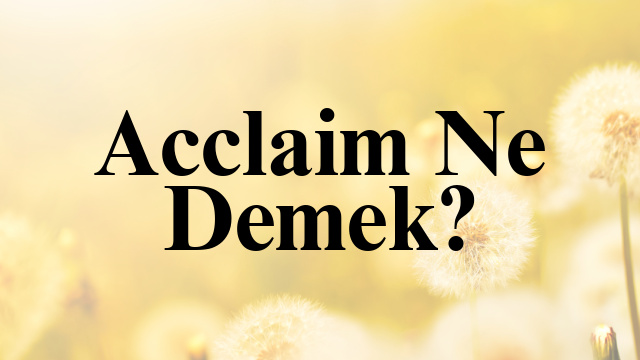 Acclaim Ne Demek?