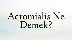 Acromialis Ne Demek?
