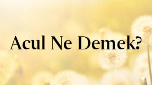 Acul Ne Demek?