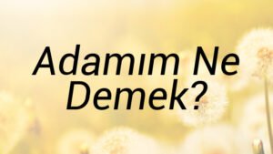 Adamım Ne Demek?