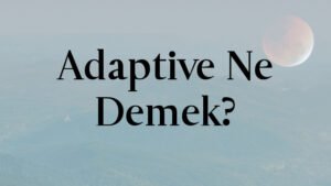 Adaptive Ne Demek?