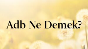 Adb Ne Demek?