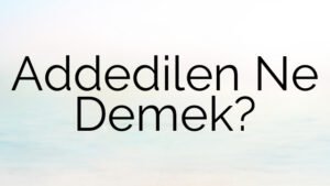 Addedilen Ne Demek?