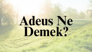 Adeus Ne Demek?
