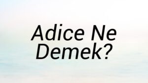 Adice Ne Demek?