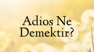Adios Ne Demektir?